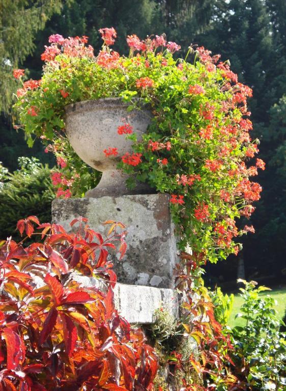 Chateau Le Mialaret Neuvic  Ngoại thất bức ảnh