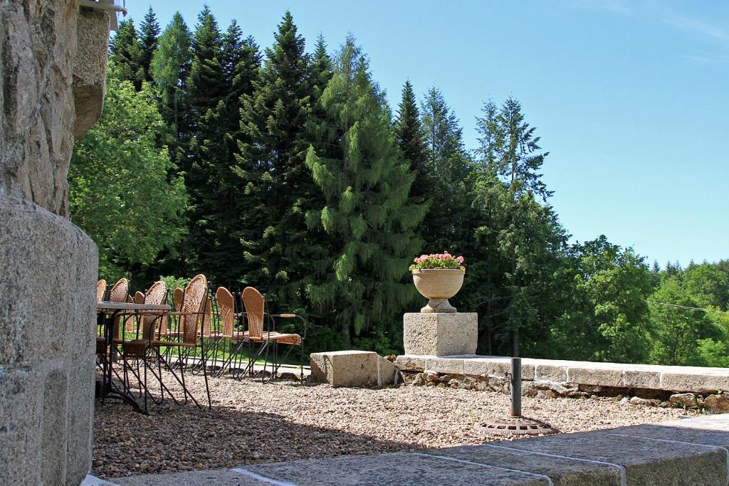 Chateau Le Mialaret Neuvic  Ngoại thất bức ảnh